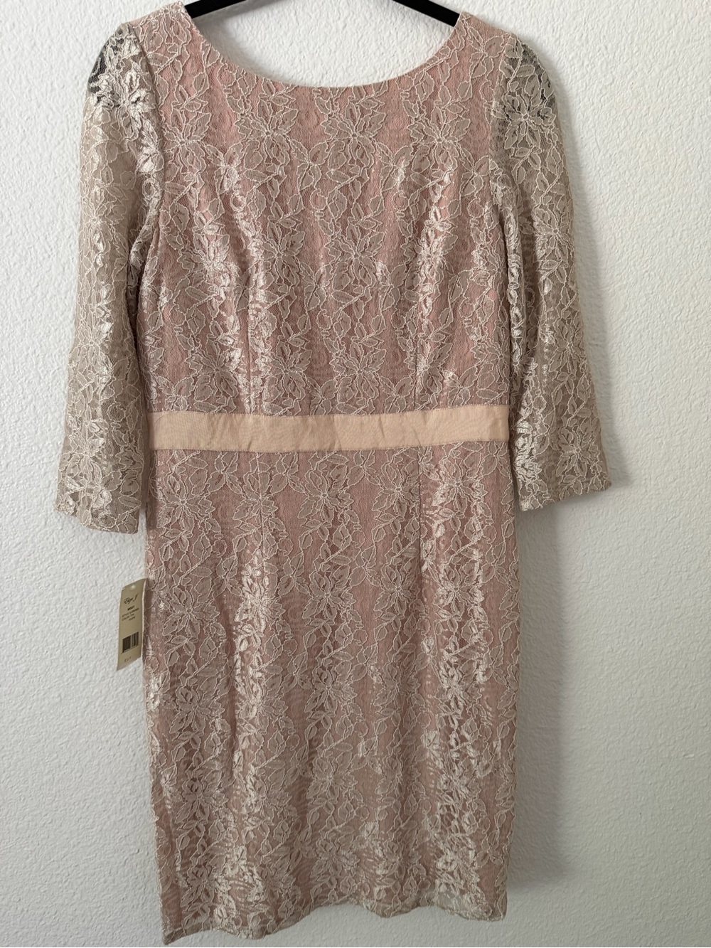 Eliza J Blush Pink Lace Sheath Dress with Cream Lace Overlay
